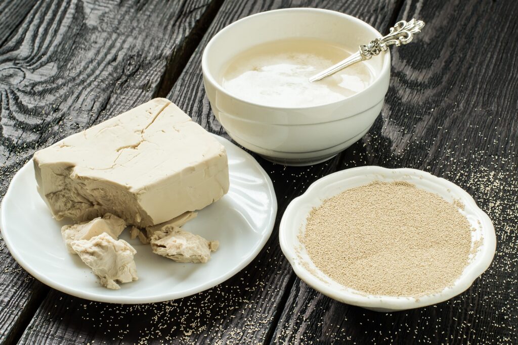 Yeast Manufacturing Business