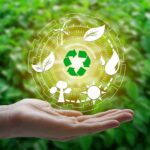 Green Consultant Business