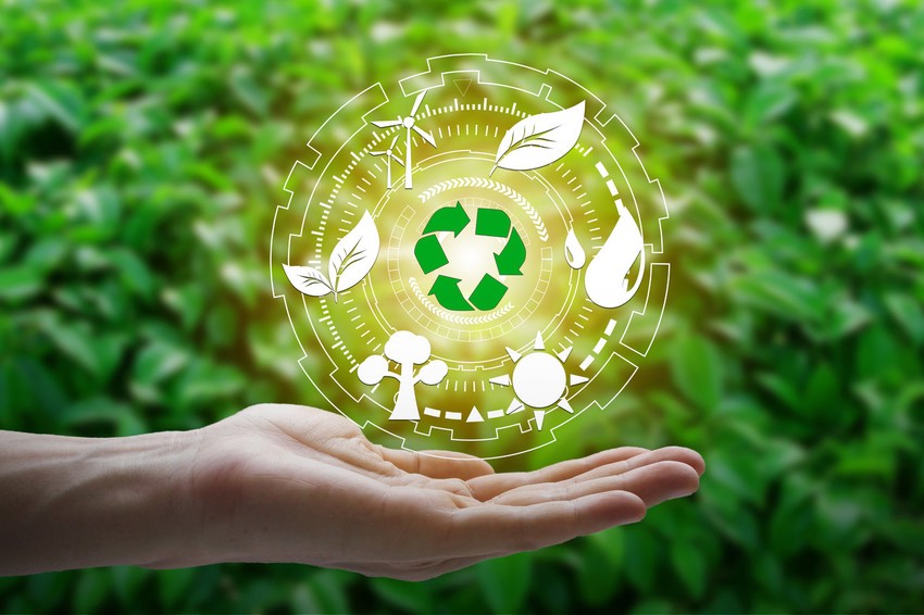 Green Consultant Business