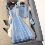 Mesh Dress Business