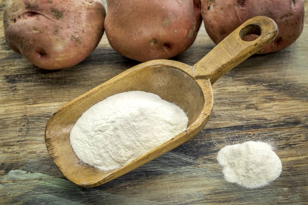 Potato Powder Making Business