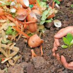 Food Waste into Organic Fertilizer Business
