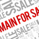 Domain Name Buyer Business