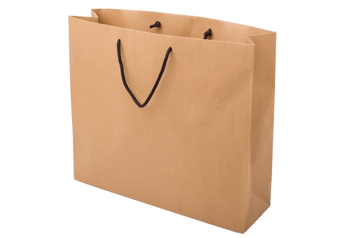 Paper Bags Making Business