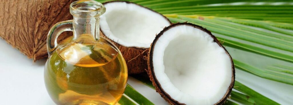 Coconut Oil Manufacturing Business