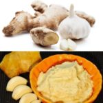 Ginger Garlic Paste Processing Business