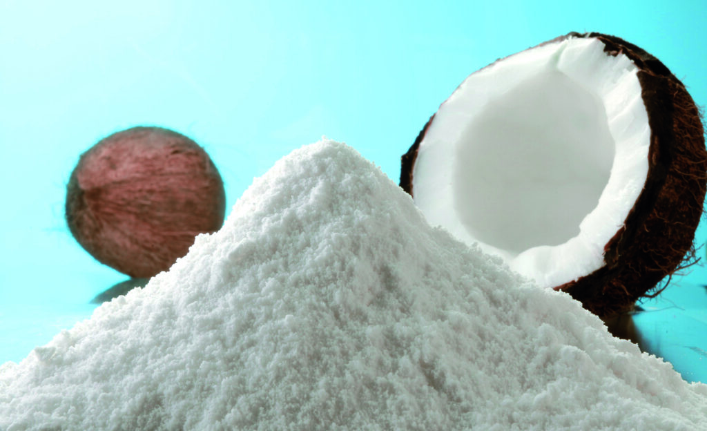 Coconut Milk Powder Production Business