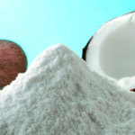 Coconut Milk Powder Production Business