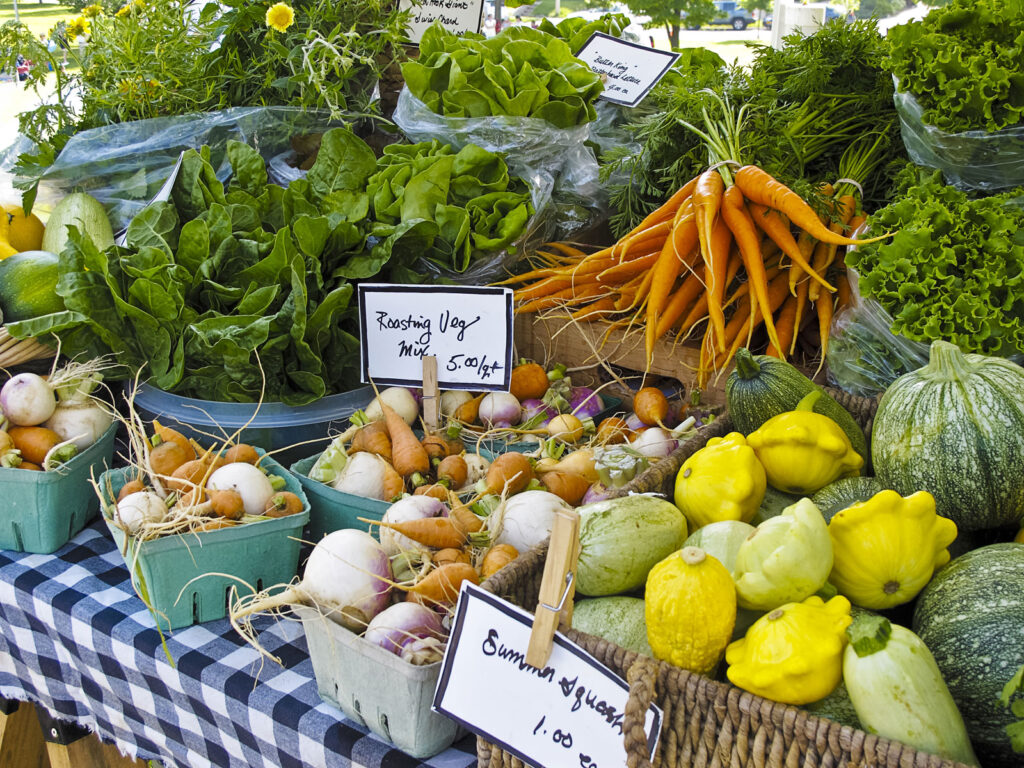 Selling healthy and organic food Business
