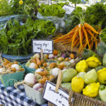 Selling healthy and organic food Business