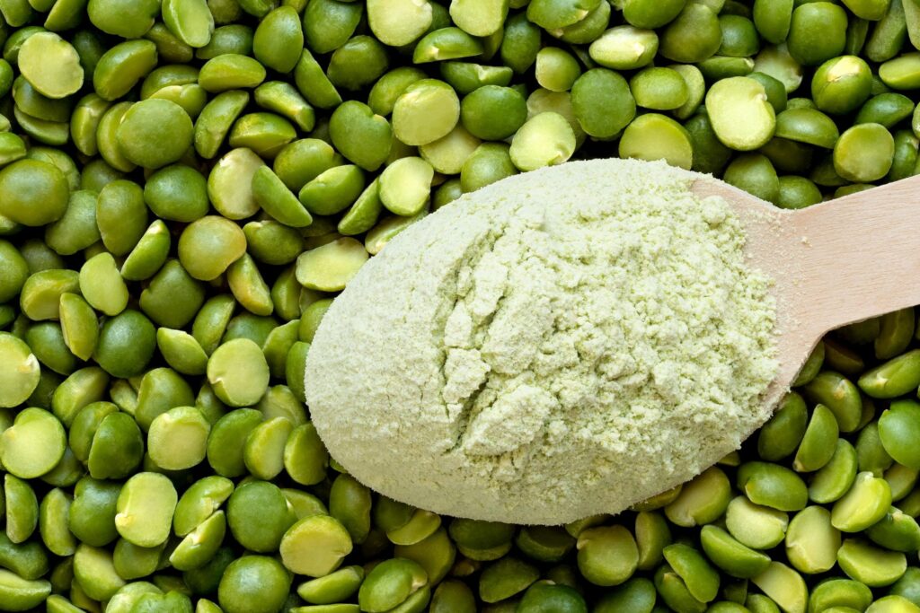 Pea Protein Extracted Starch Business