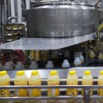 Lemonade Production Business