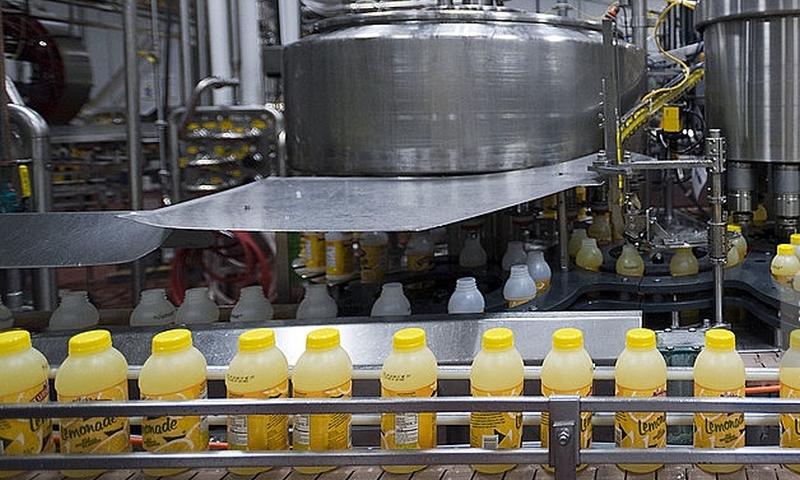 Lemonade Production Business