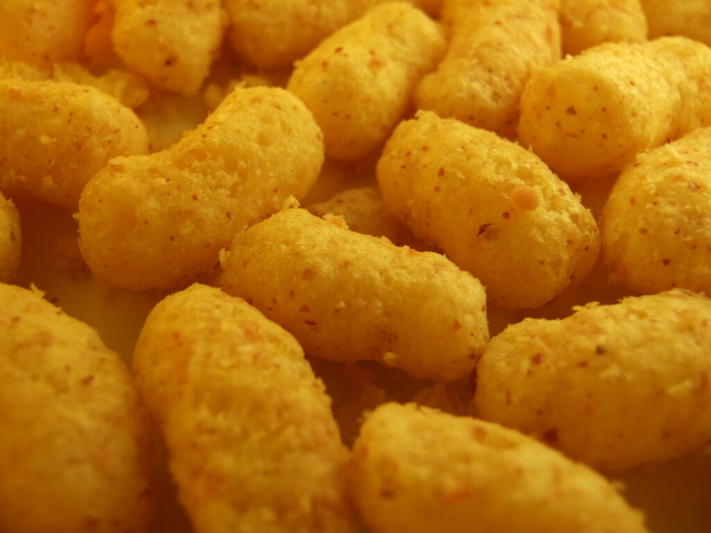 Maize Chips Making Business