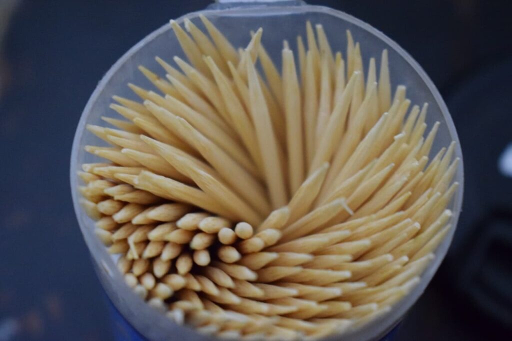 Plastic Toothpick Production Business