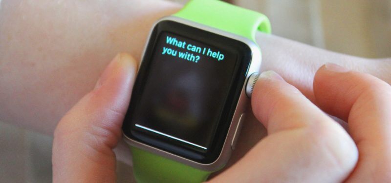 Smartwatches Business