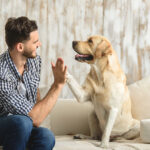 Pet sitter Business