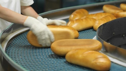 Bread Production Business
