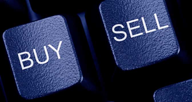 Website Flipping Business
