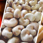 Cashew Processing Business