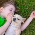 AI for Communicating with Dogs Business