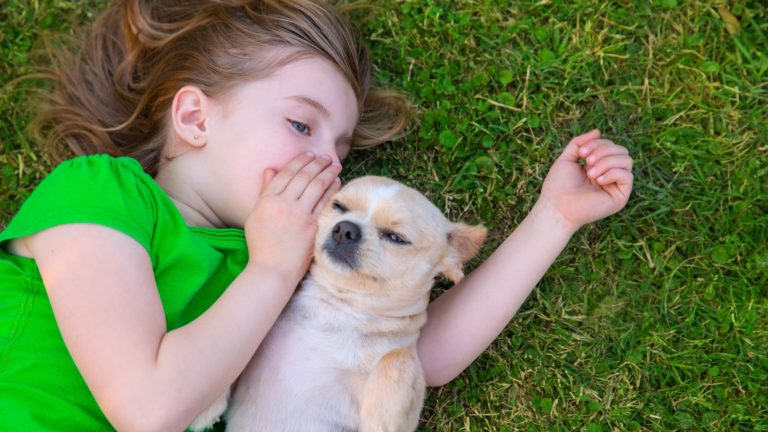 AI for Communicating with Dogs Business