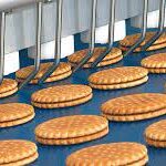 Biscuit Making Business