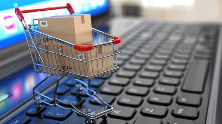 Ecommerce Store Business