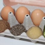 Egg Substitutes Making  Business