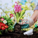 Expert Gardening Business