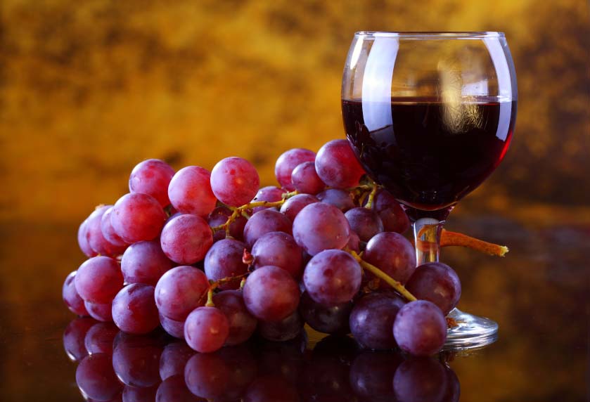 Grape Wine Making Business