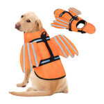 Pet clothing and accessories Business