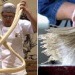 Noodles Making Business