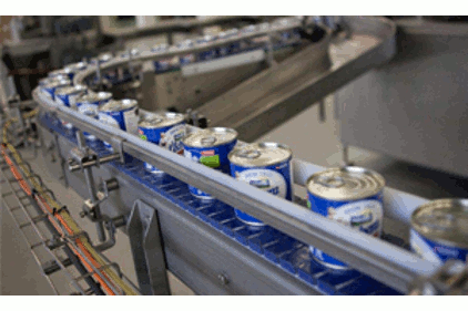 Condensed Milk Production Business