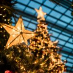 Star and Christmas Tree Business