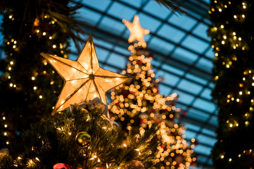 Star and Christmas Tree Business
