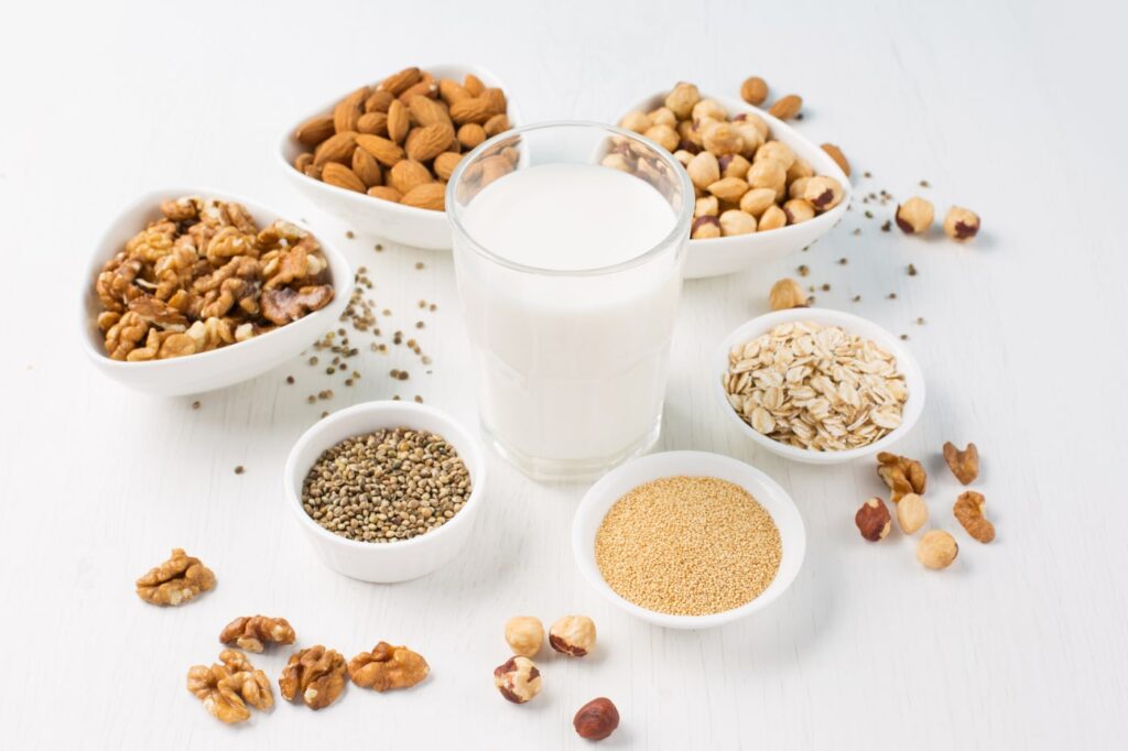 Vegetable Milk Making Business