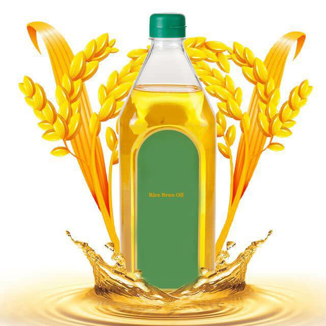 Rice Bran oil Production Business