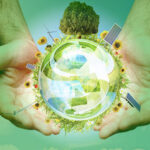 Sustainability Consultant Business