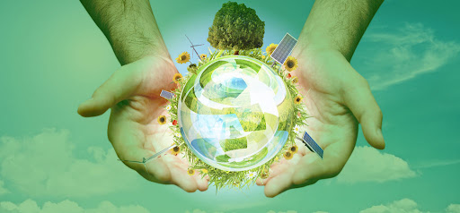 Sustainability Consultant Business