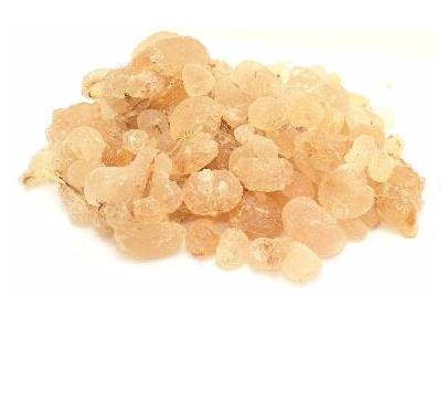 Vegetable Gum Making Business