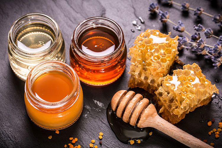 Honey Processing Business