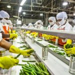 Food processing