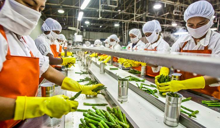 Food processing