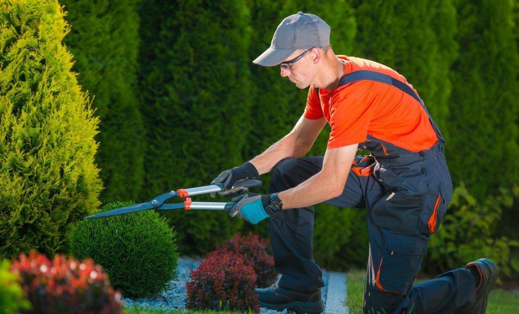 Gardening services