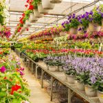 Nursery & garden requirements