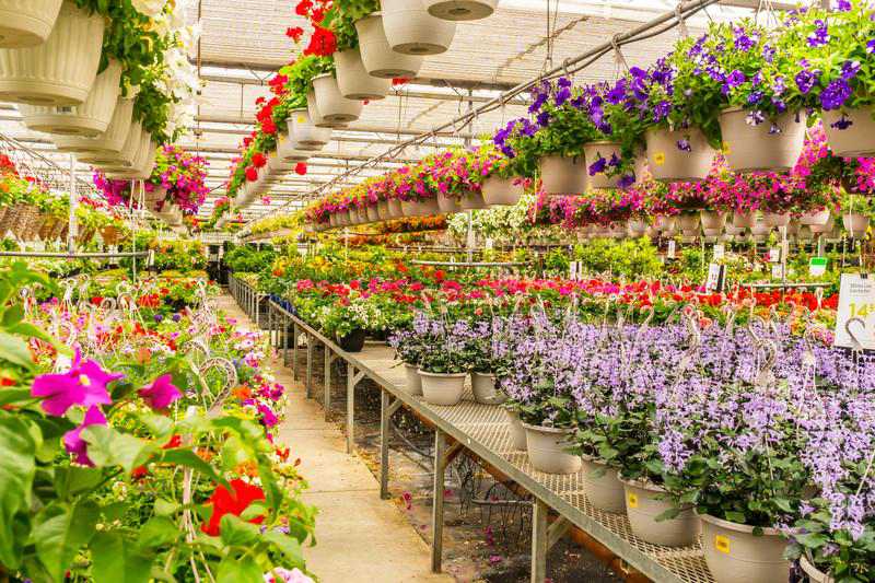 Nursery & garden requirements