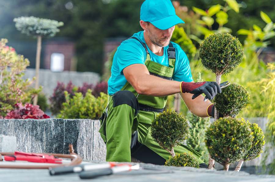 LANDSCAPER