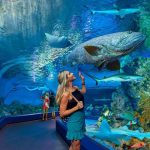 Aquariums & fish
